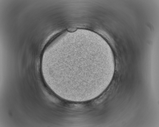 X0000113240107200910221109