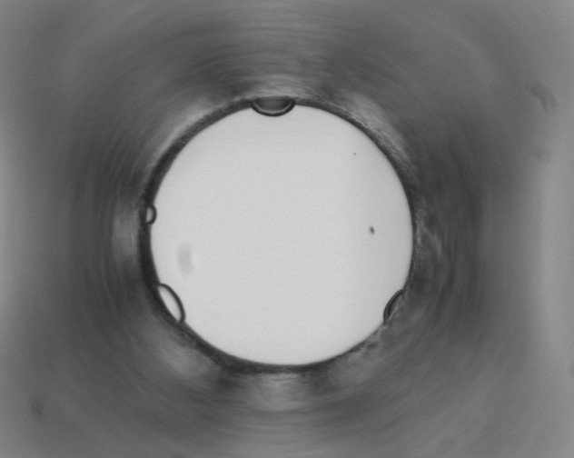 X0000113240108200910221109