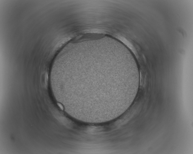 X0000113240109200910221109