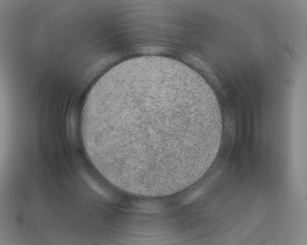 X0000113240110200910221109