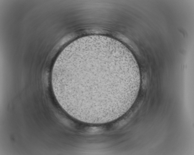 X0000113240111200910221109