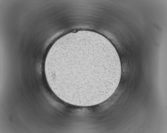 X0000113240112200910221109