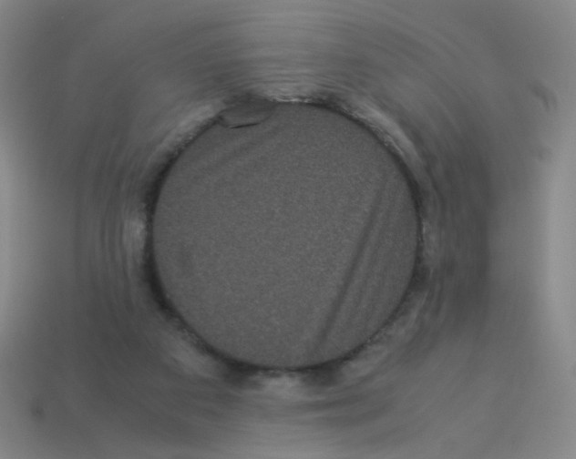 X0000113240113200910221108