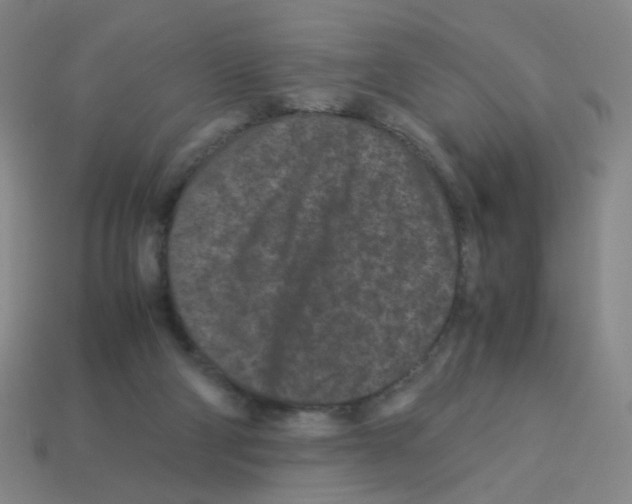 X0000113240114200910221108