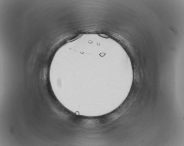 X0000113240115200910221108