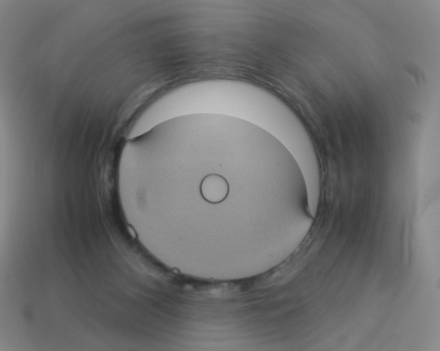 X0000113240116200910221108
