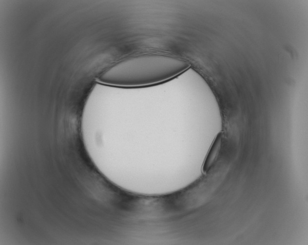 X0000113240117200910221108