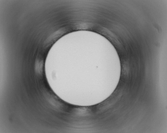 X0000113240118200910221108