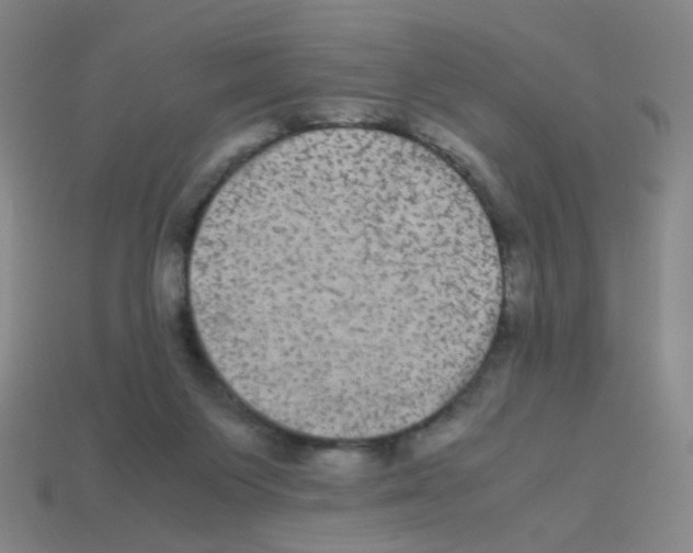 X0000113240119200910221108