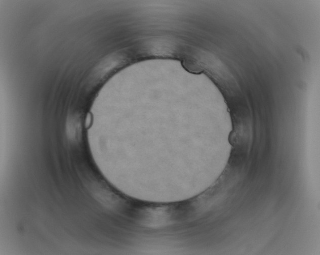 X0000113240120200910221108