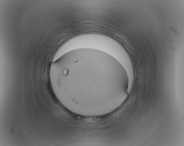 X0000113240121200910221108