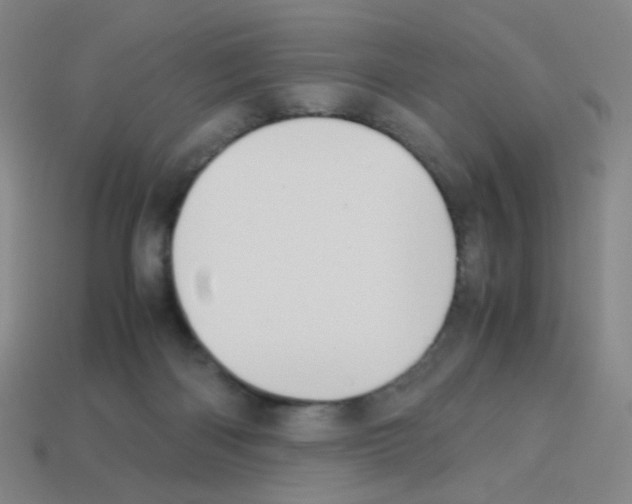 X0000113240122200910221108