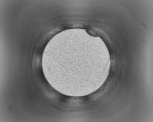X0000113240123200910221108