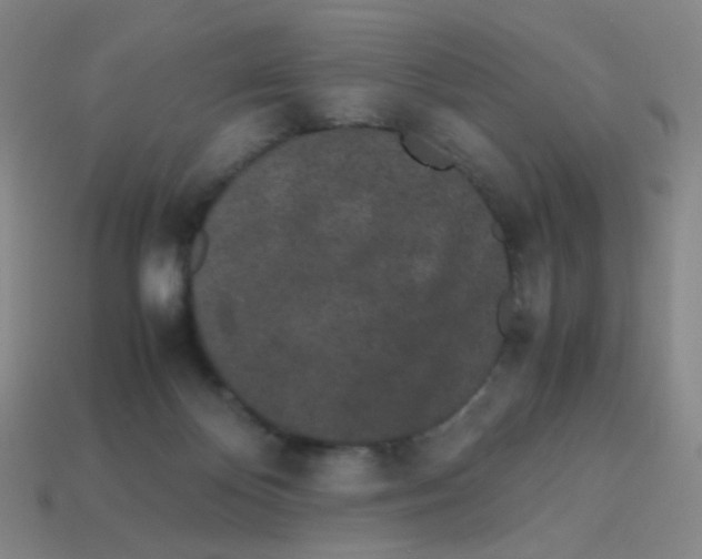 X0000113240124200910221108