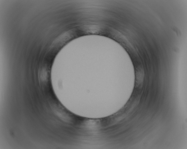 X0000113240126200910221108