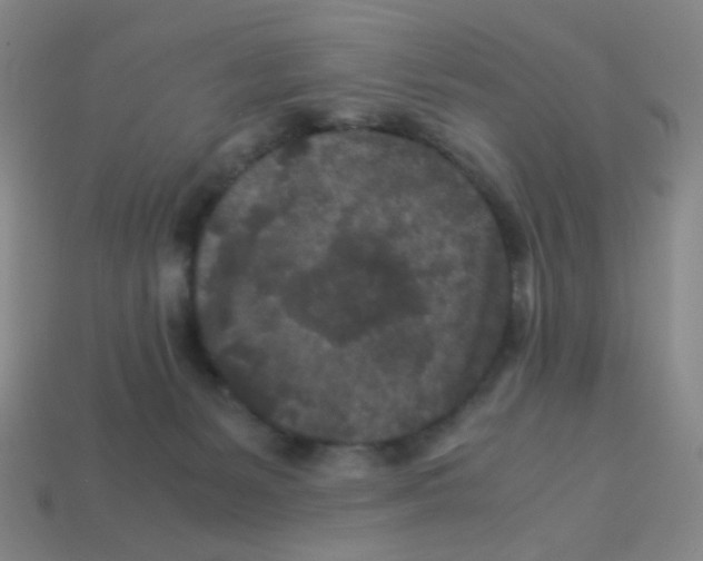 X0000113240127200910221108