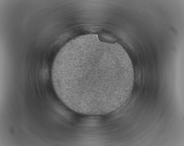 X0000113240128200910221108