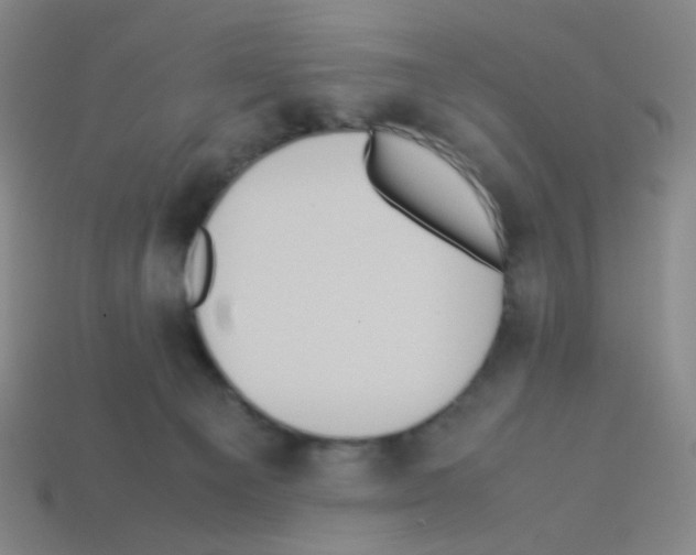 X0000113240129200910221108