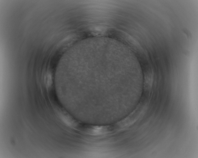 X0000113240130200910221108