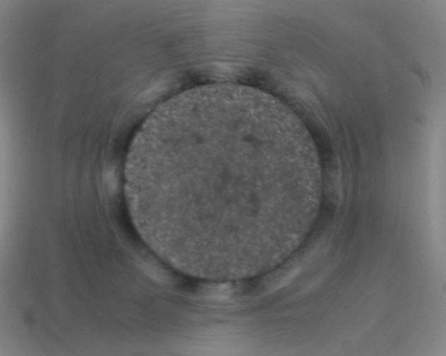 X0000113240131200910221108