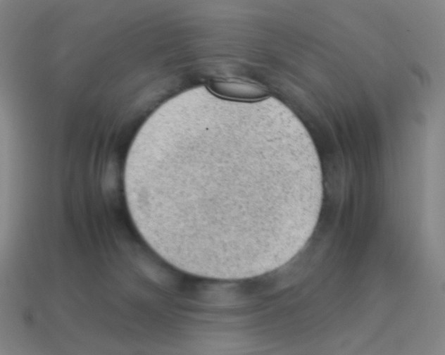 X0000113240132200910221108
