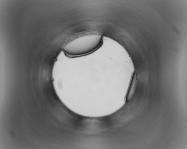 X0000113240133200910221108