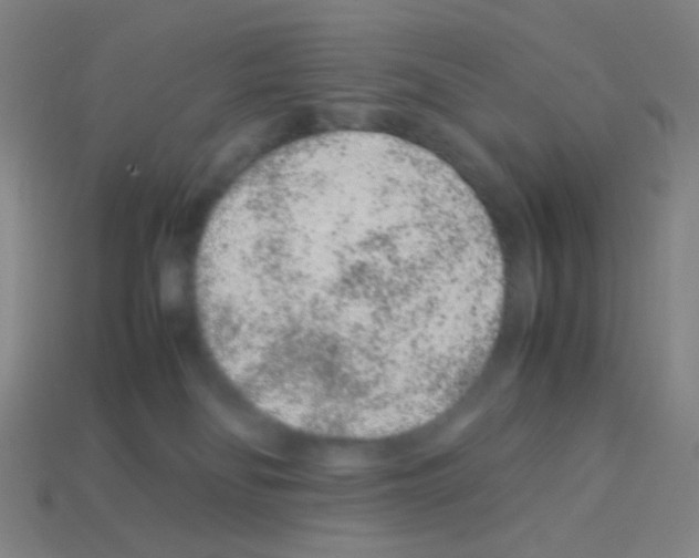 X0000113240134200910221108