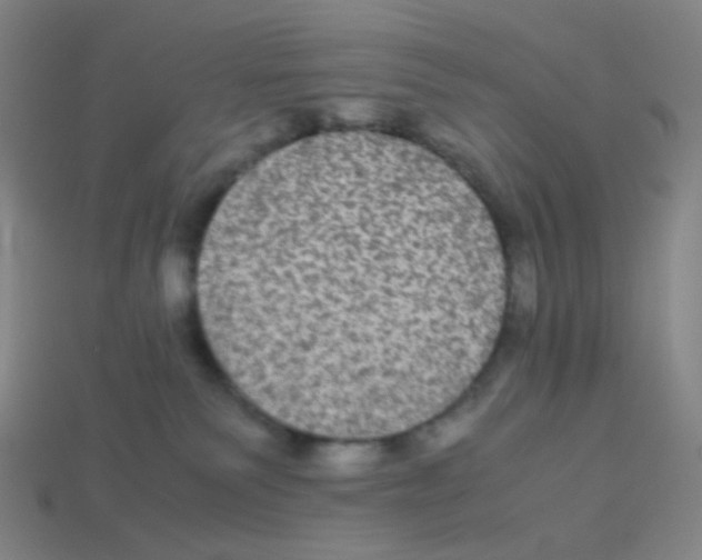 X0000113240135200910221108