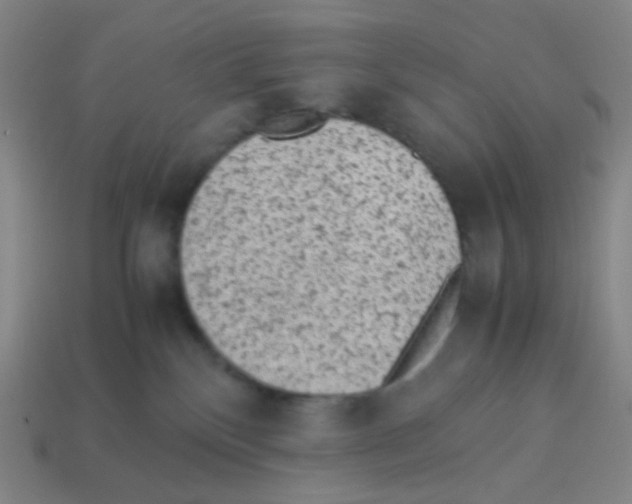 X0000113240136200910221108
