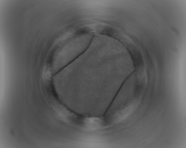 X0000113240137200910221108