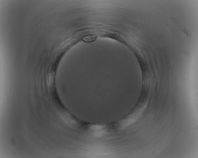 X0000113240139200910221108
