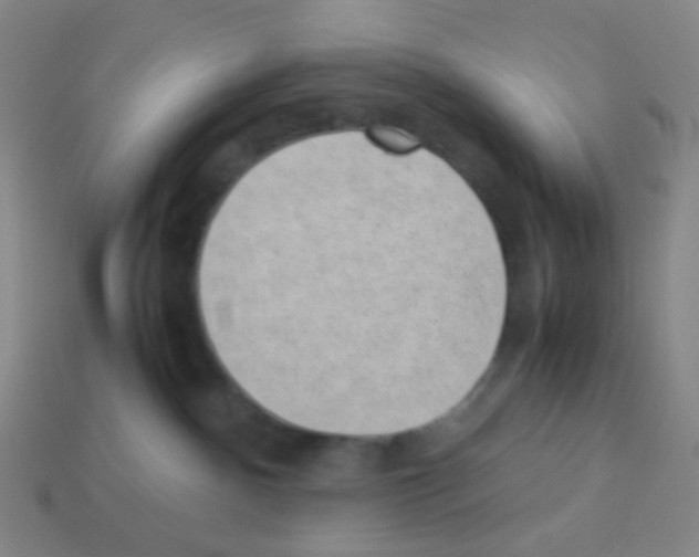 X0000113240140200910221108