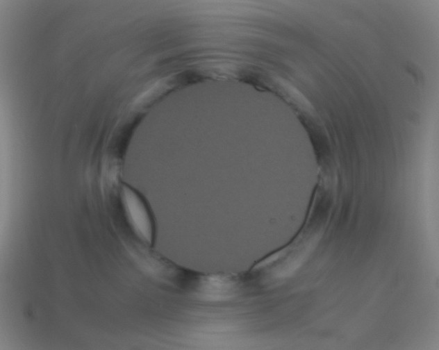 X0000113240141200910221108