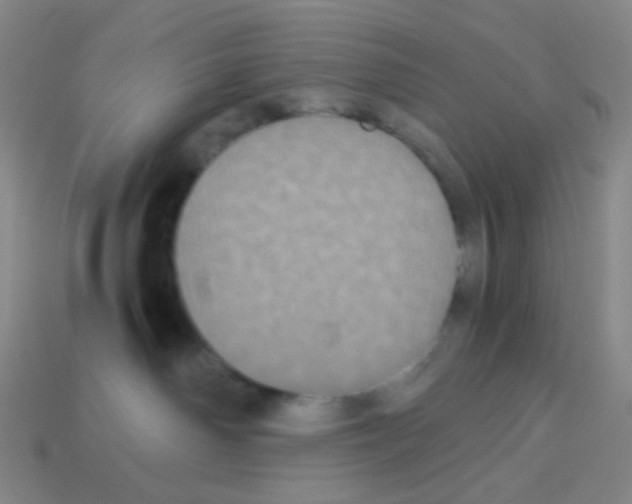 X0000113240142200910221108