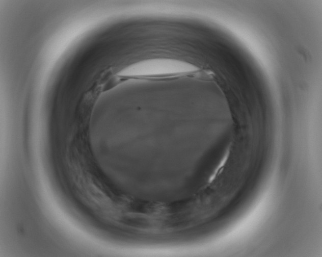 X0000113240143200910221108
