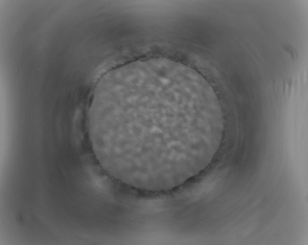 X0000113240144200910221108