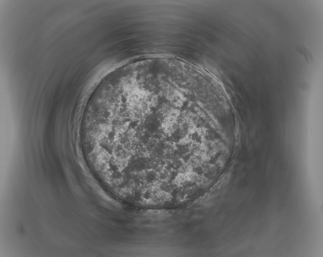 X0000113240145200910221107