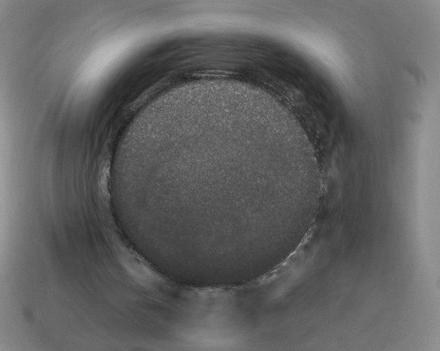 X0000113240146200910221107