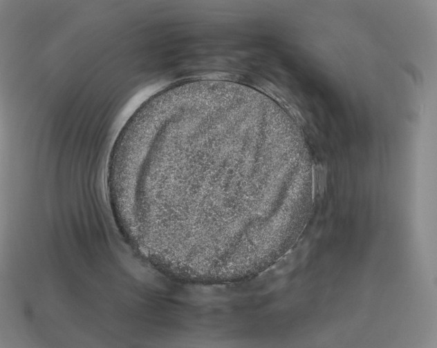 X0000113240147200910221108