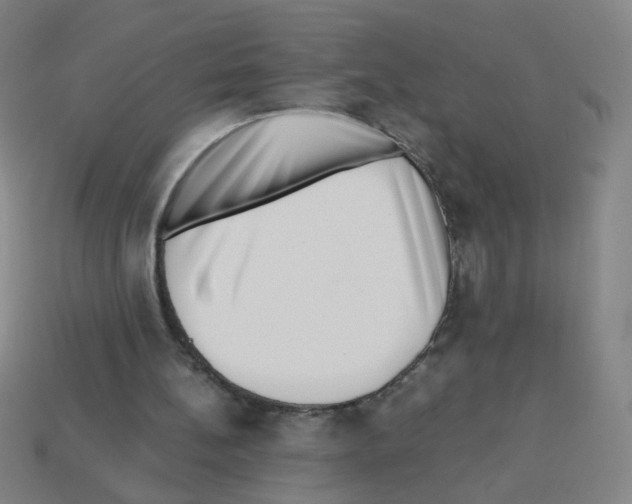 X0000113240148200910221108