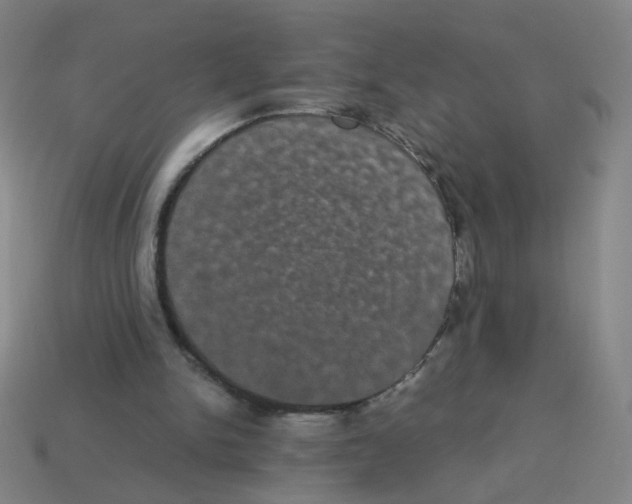 X0000113240150200910221108