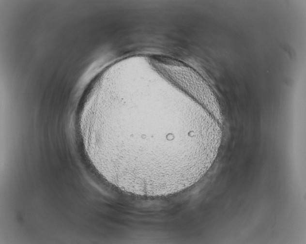 X0000113240151200910221108