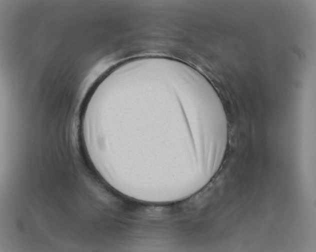 X0000113240152200910221108