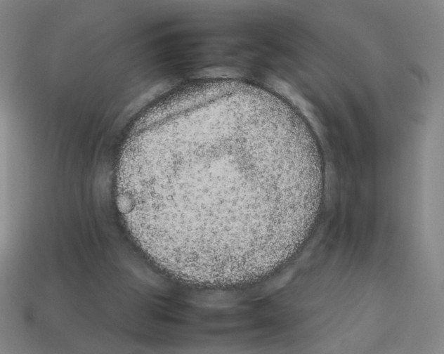 X0000113240153200910221108