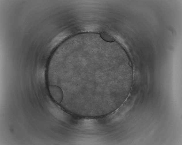 X0000113240154200910221108