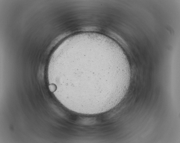 X0000113240155200910221108