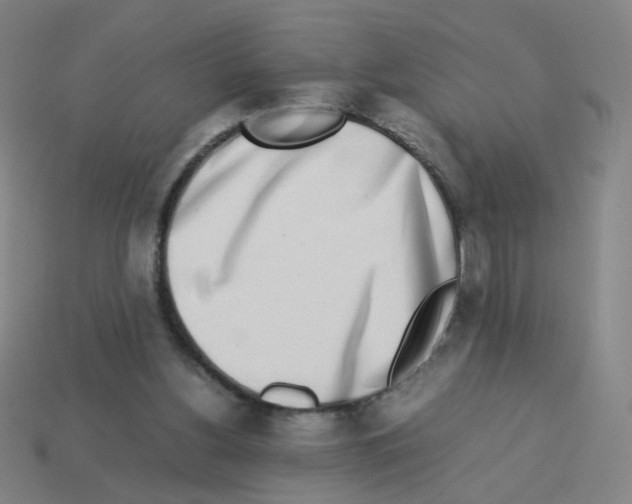 X0000113240156200910221108