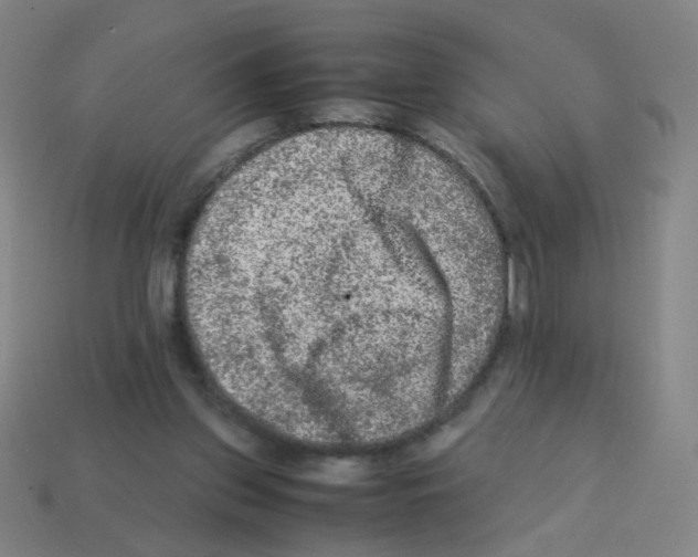X0000113240157200910221108