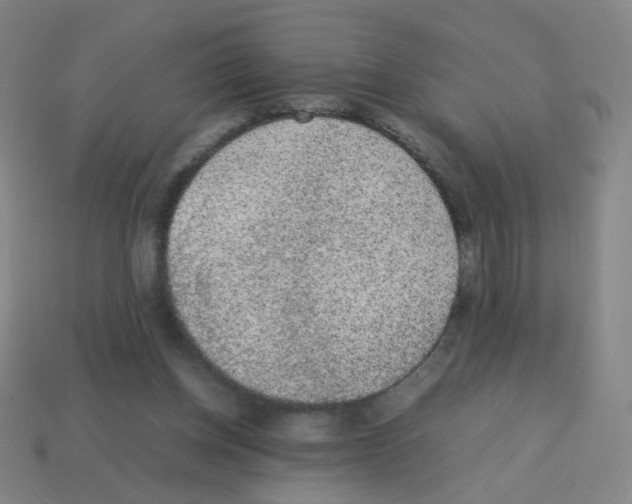 X0000113240158200910221108