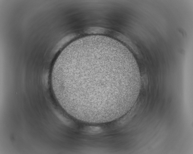 X0000113240159200910221108